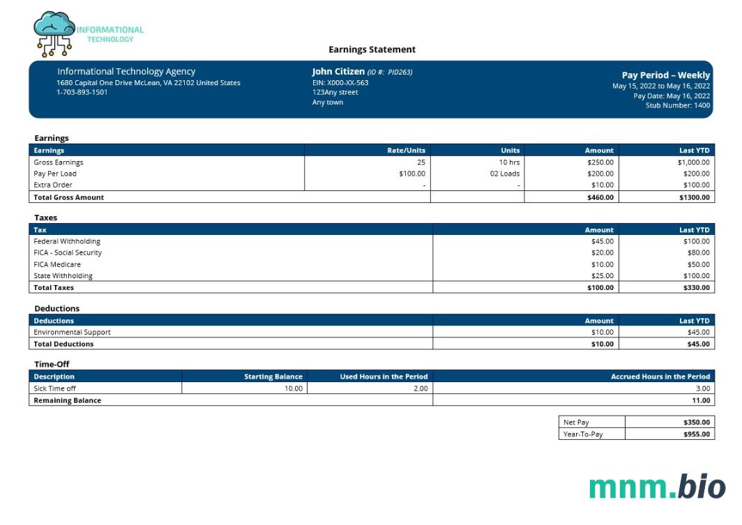 szablon paystub firmy informatycznej w formatach Word i PDF